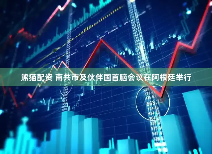 熊猫配资 南共市及伙伴国首脑会议在阿根廷举行
