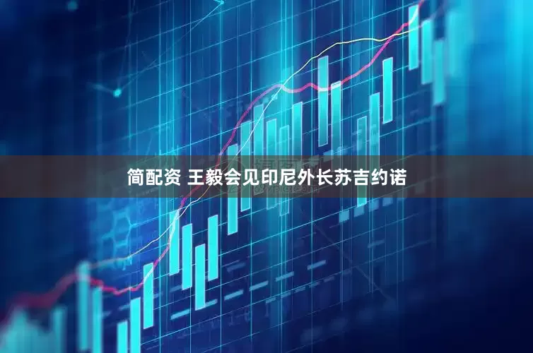 简配资 王毅会见印尼外长苏吉约诺