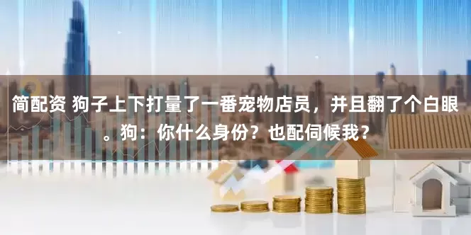 简配资 狗子上下打量了一番宠物店员，并且翻了个白眼。狗：你什么身份？也配伺候我？