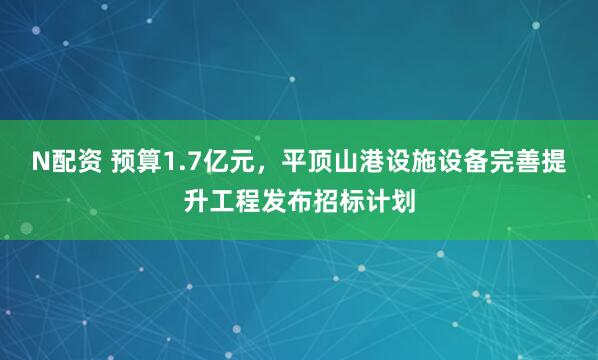N配资 预算1.7亿元，平顶山港设施设备完善提升工程发布招标计划