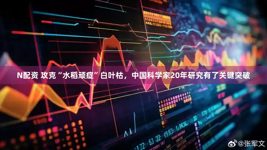 N配资 攻克“水稻顽症”白叶枯,中国科学家20年研究有了关键突破